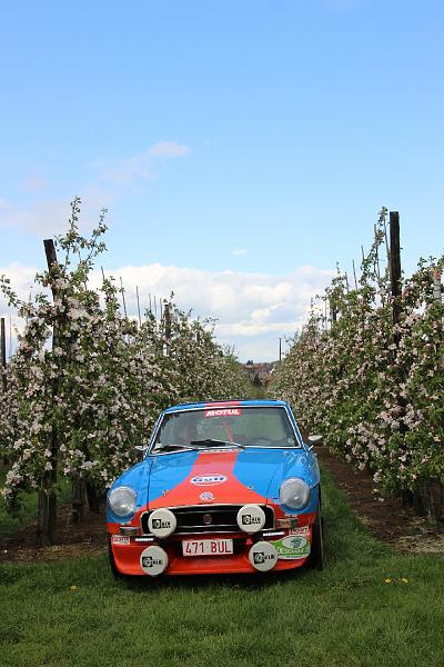 MG Bloesemrit op 24-4-2016 org. Jos&Marie-lou  (250).JPG